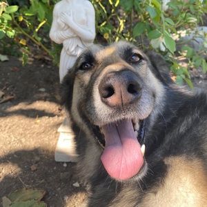 Meet your Posher, Olivia